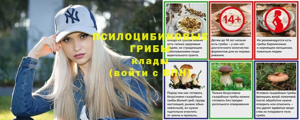 мдпв Беломорск